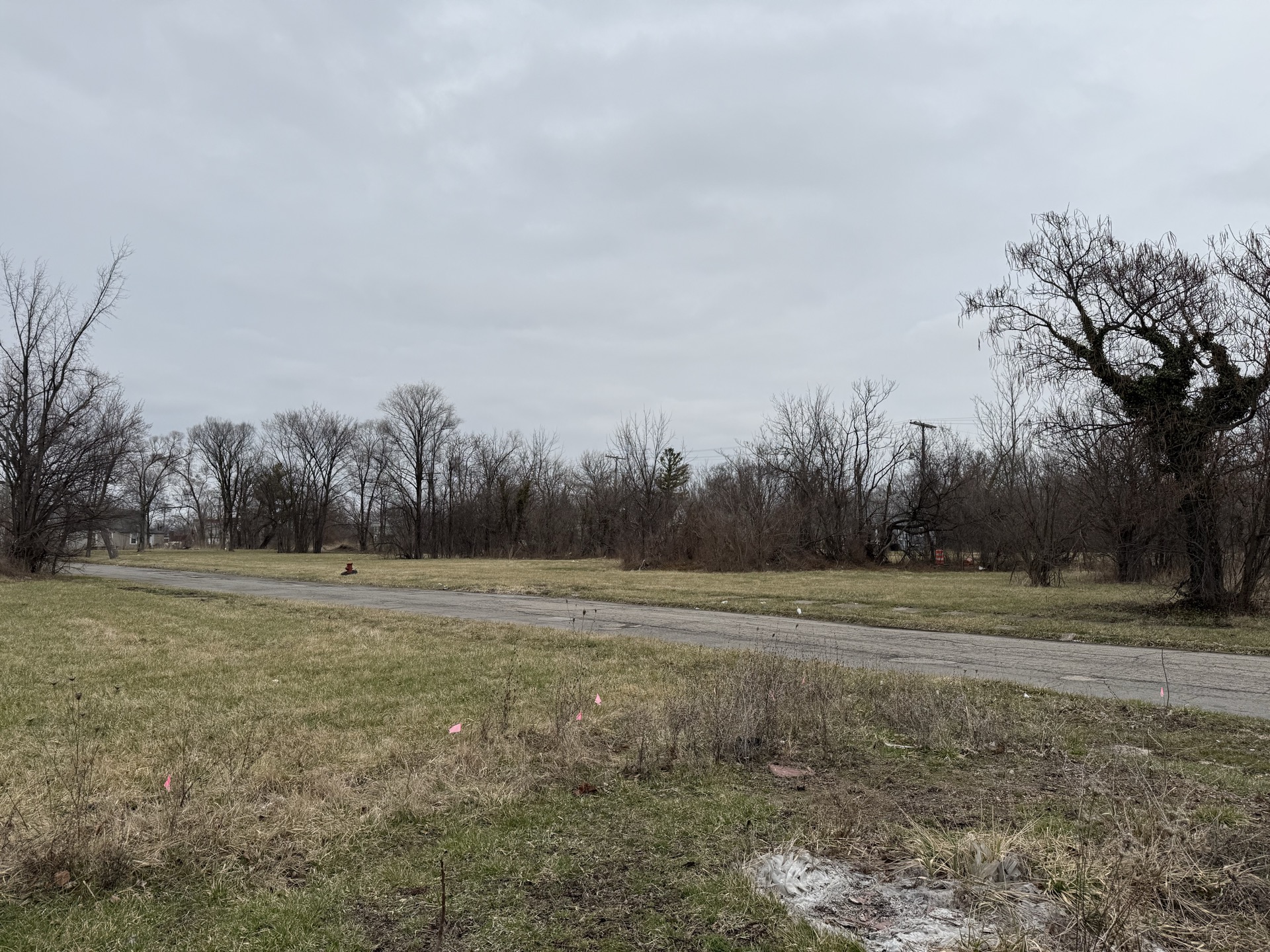 Wide shot showing street edge